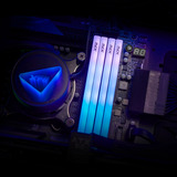 ADATA DIMM 16 GB DDR5-6000, Arbeitsspeicher weiß, AX5U6000C2816G-SLABRWH, XPG Lancer Blade RGB, INTEL XMP, AMD EXPO