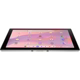 ASUS Chromebook CM3 Detachable (CM3001DM2A-R70015), Tablet-PC silber, Google Chrome OS