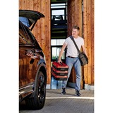 EINHELL Systemkoffer E-Case S-F incl. dividers, Werkzeugkiste schwarz/rot, mit Trennelementen