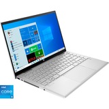HP Pavilion x360 14-dy0057ng, Notebook silber, Windows 10 Home 64-Bit