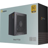 Ocypus Iota P750 Black, PC-Netzteil schwarz, 1x 12-Pin High Power GPU, 3x PCIe, Kabelmanagement, 750 Watt