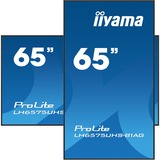 iiyama ProLight LH6575UHS-B1AG, Public Display schwarz (matt), UltraHD/4K, IPS, Lautsprecher, SDM-Slot