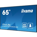 iiyama ProLight LH6575UHS-B1AG, Public Display schwarz (matt), UltraHD/4K, IPS, Lautsprecher, SDM-Slot