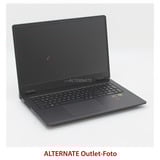 OMEN 17-db0184ng, Gaming-Notebook schwarz, AMD Ryzen 7 8845HS, NVIDIA GeForce RTX 4070, 32 GB DDR5, 512 GB (512 GB SSD), ohne Betriebssystem