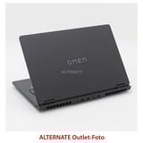 OMEN 17-db0184ng, Gaming-Notebook schwarz, AMD Ryzen 7 8845HS, NVIDIA GeForce RTX 4070, 32 GB DDR5, 512 GB (512 GB SSD), ohne Betriebssystem