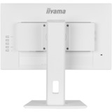 iiyama ProLite XUB2292HSU-W6, LED-Monitor 55 cm (22 Zoll), weiß (matt), FullHD, IPS, AMD Free-Sync, 100Hz Panel