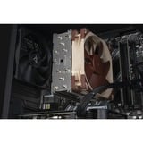 ALTERNATE Gaming-PC Special Edition • RTX 4060 • AMD Ryzen™ 5 5600 • 16 GB RAM schwarz/transparent, Windows 11 Home 64-Bit