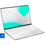 GIGABYTE AERO 14 OLED BMF-H2DEBB3SH, Notebook silber, Intel® Core™ i7-13620H, NVIDIA GeForce RTX 4050, 16 GB LPDDR5, 512 GB (512 GB SSD), Windows 11 Home 64-Bit