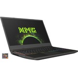 XMG NEO 15 (10505805), Gaming-Notebook grau, Windows 10 Home 64-Bit, 240 Hz Display, 1 TB SSD