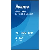 iiyama LH7566UHSB-B1AG, Public Display schwarz (matt), UltraHD/4K, VA, HDMI, USB-C