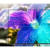 Medion LIFE MD 843602, QLED-Fernseher 108 cm (43 Zoll), schwarz, UltraHD/4K, Triple Tuner, VIDAA