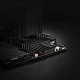 ADATA DIMM 48 GB DDR5-6000 (2x 24 GB) Dual-Kit, Arbeitsspeicher schwarz, AX5U6000C3624G-DTLABBK, XPG Lancer Blade, INTEL XMP, AMD EXPO