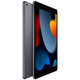 Apple iPad 10,2" (256 GB) Generalüberholt, Tablet-PC grau, Gen 9 / 2021