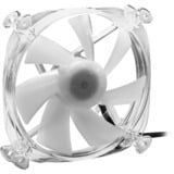 Sharkoon SHARK Disc PWM RGB Fan, Gehäuselüfter transparent