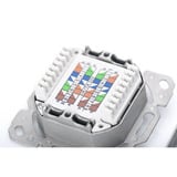 Digitus Datendose CAT 6, Klasse E, Aufputz, Anschlussdose weiß, 5 Stück