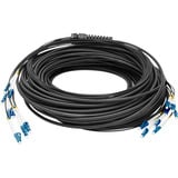Digitus Glasfaser Universal Breakout Kabel, Duplex, LC/UPC Stecker, Singlemode OS2 schwarz, 30 Meter, vorkonfektioniert