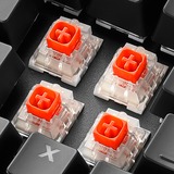 Sharkoon SKILLER SGK60, Gaming-Tastatur schwarz, DE-Layout, Kailh BOX Red