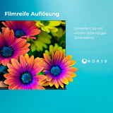 Toshiba 65QV2363DA, QLED-Fernseher 164 cm (65 Zoll), schwarz, UltraHD/4K, Triple Tuner, Smart TV, VIDAA
