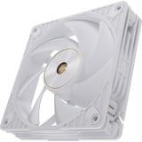 ASUS ProArt PF120, Gehäuselüfter weiß, 3er Pack, 120 mm