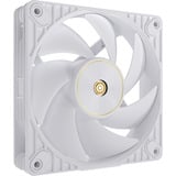 ASUS ProArt PF120, Gehäuselüfter weiß, 3er Pack, 120 mm