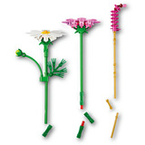 LEGO 11514 Botanicals Kosmeen, Konstruktionsspielzeug 