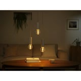 Philips HUE White & Color Ambiance Lightguide G95 Globe - Smarte Lampe E27, LED-Lampe 
