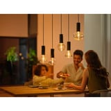 Philips HUE White & Color Ambiance Lightguide G95 Globe - Smarte Lampe E27, LED-Lampe 