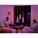 Philips HUE White & Color Ambiance Lightguide G95 Globe - Smarte Lampe E27, LED-Lampe 