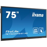iiyama TE7502MIS-B1AG, Public Display schwarz, WLAN, Bluetooth, UltraHD/4K