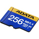 ADATA Premier Extreme microSDXC 256 GB, Speicherkarte blau/gelb, SD Express, UHS-I U3, Class 10, V30, Nintendo Switch 2 Ready