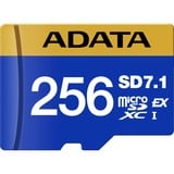 ADATA Premier Extreme microSDXC SD7.1 256 GB, Speicherkarte blau/gelb, SD7.1 Express, UHS-I U3, Class 10, V30, Nintendo Switch 2 Ready
