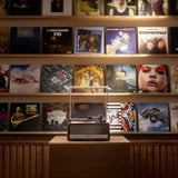 ZURU Mini Brands - Really Works Vinyl, Basteln sortierter Artikel