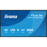 iiyama LH4375UHS-B2AG, Public Display schwarz (matt), UltraHD/4K, IPS, Lautsprecher, Daisy Chain