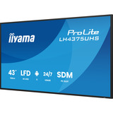 iiyama LH4375UHS-B2AG, Public Display schwarz (matt), UltraHD/4K, IPS, Lautsprecher, Daisy Chain