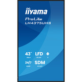 iiyama LH4375UHS-B2AG, Public Display schwarz (matt), UltraHD/4K, IPS, Lautsprecher, Daisy Chain