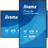 iiyama LH4375UHS-B2AG, Public Display schwarz (matt), UltraHD/4K, IPS, Lautsprecher, Daisy Chain