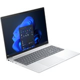 HP EliteBook 8 G1i (DL5V6ET), Notebook silber, Intel® Core™ Ultra 5 225U, Intel® Arc™ Graphics, 16 GB DDR5, 256 GB (256 GB SSD), Windows 11 Pro