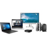 HP Pro t550 Thin Client (5H0X2EA), Mini-PC schwarz, IGEL OS