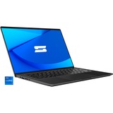 Schenker VISION 14 E22 (10506097), Notebook schwarz, Windows 11 Home 64-Bit, 90 Hz Display, 1 TB SSD