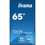 iiyama ProLite LH6541UHS-B1AG, Public Display schwarz (glänzend), UltraHD/4K, VA, HDMI