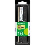 ADATA DIMM 16 GB DDR5-5600 (1x 16 GB), Arbeitsspeicher schwarz, GD5U5600716G-SMI, Gold