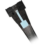 Icy Dock Kabel MCIO x8 SFF-TA-1016 > MCIO x8 SFF-TA-1016 schwarz, 50cm