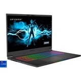 Medion ERAZER Beast X30 (30033746), Gaming-Notebook schwarz, Windows 11 Home 64-BIt, 240 Hz Display