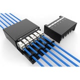 Digitus Konsolidierungspunkt-Box 6P Keystone mit Kabelmanager schwarz