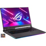 ASUS ROG Strix G17 (G713RM-KH106W), Gaming-Notebook grau, Windows 11 Home 64-Bit, 360 Hz Display, 1 TB SSD