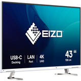 EIZO EV4340X-WT, LED-Monitor 108 cm (42.5 Zoll), weiß, UltraHD/4K, IPS, Fernbedienung, USB-C