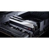 G.Skill DIMM 32 GB DDR5-5600 (2x 16 GB) Dual-Kit, Arbeitsspeicher silber, F5-5600U3636C16GX2-TZ5S, Trident Z5, INTEL XMP
