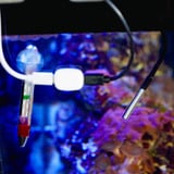 Shelly Temperatursensor DS18B20 Kabellänge 1m