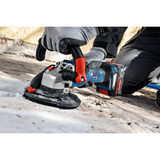Bosch Expert Akku EXBA18V-80 Professional, 2 Stück schwarz, AMPShare Alliance