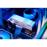 Kingston FURY DIMM 16 GB DDR5-5200 (1x 16 GB) , Arbeitsspeicher weiß, KF552C40BWA-16, Renegade RGB, INTEL XMP